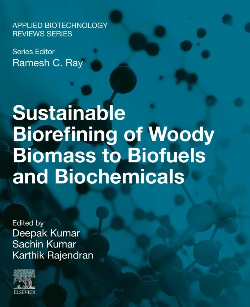 Sustainable Biorefining of Woody Biomass to Biofuels and Biochemicals main product photo