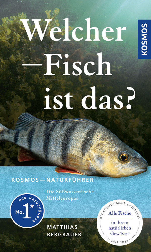 Welcher Fisch ist das? main product photo