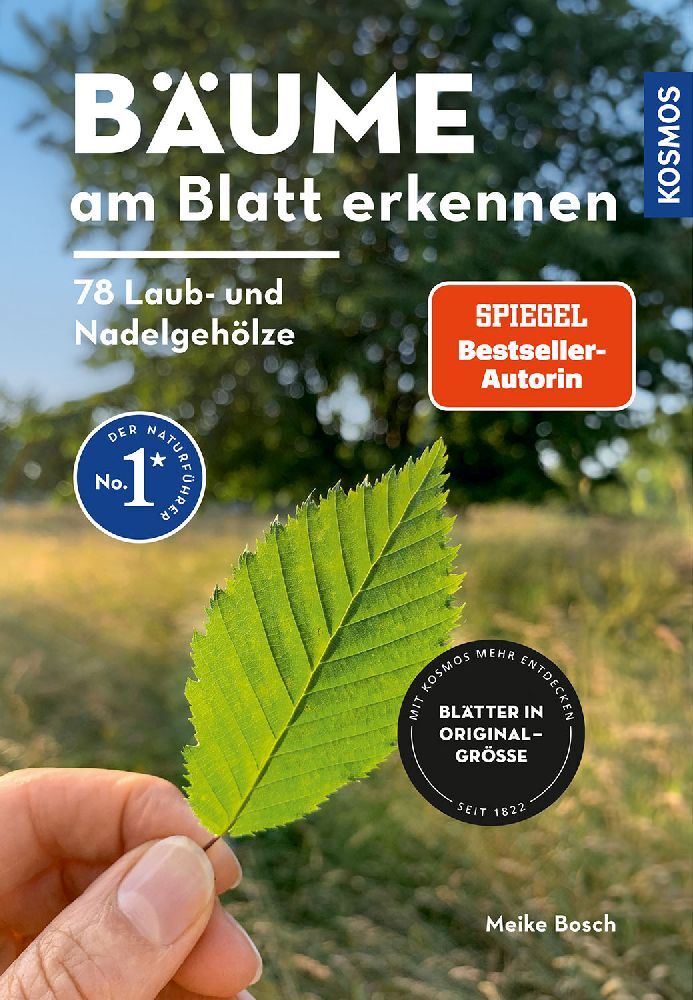 Bäume am Blatt erkennen - 78 Laub- und Nadelgehölze. Blätter in Originalgröße main product photo