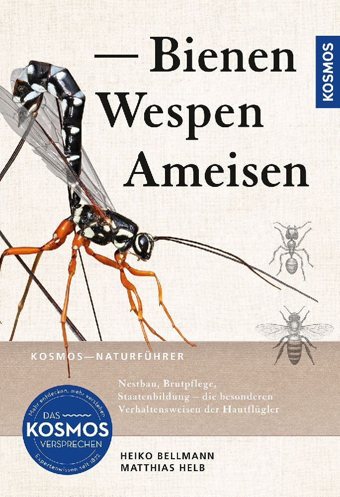 Bienen, Wespen, Ameisen main product photo