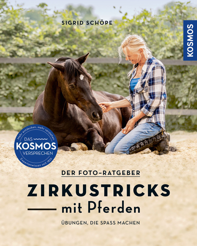 Zirkustricks mit Pferden main product photo