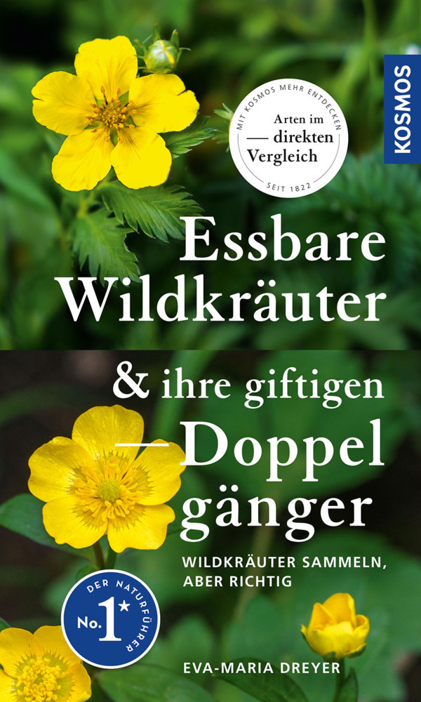 Essbare Wildkräuter und ihre giftigen Doppelgänger main product photo