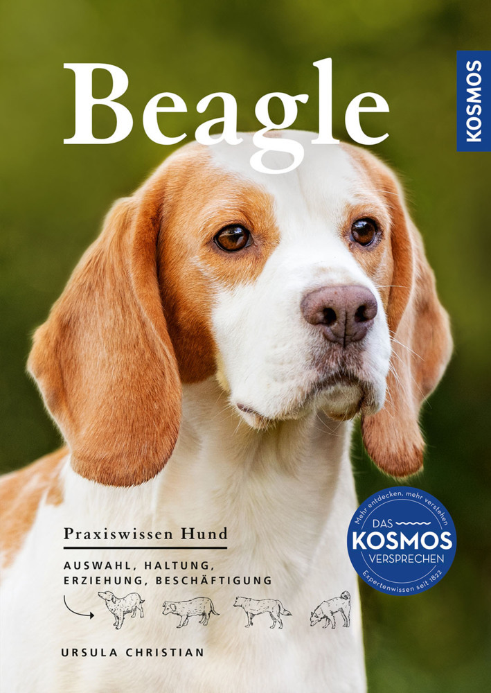 Beagle main product photo