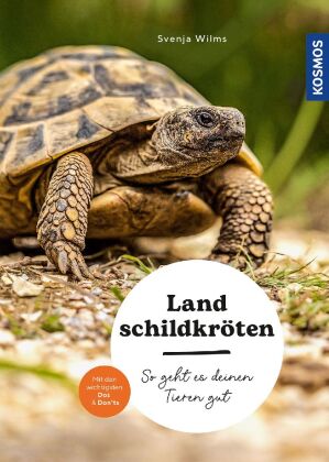 Landschildkröten