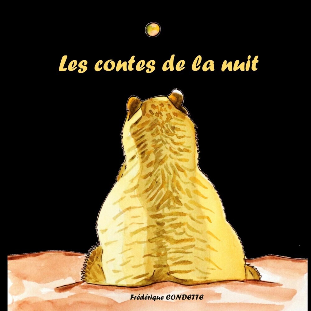 Les contes de la nuit main product photo