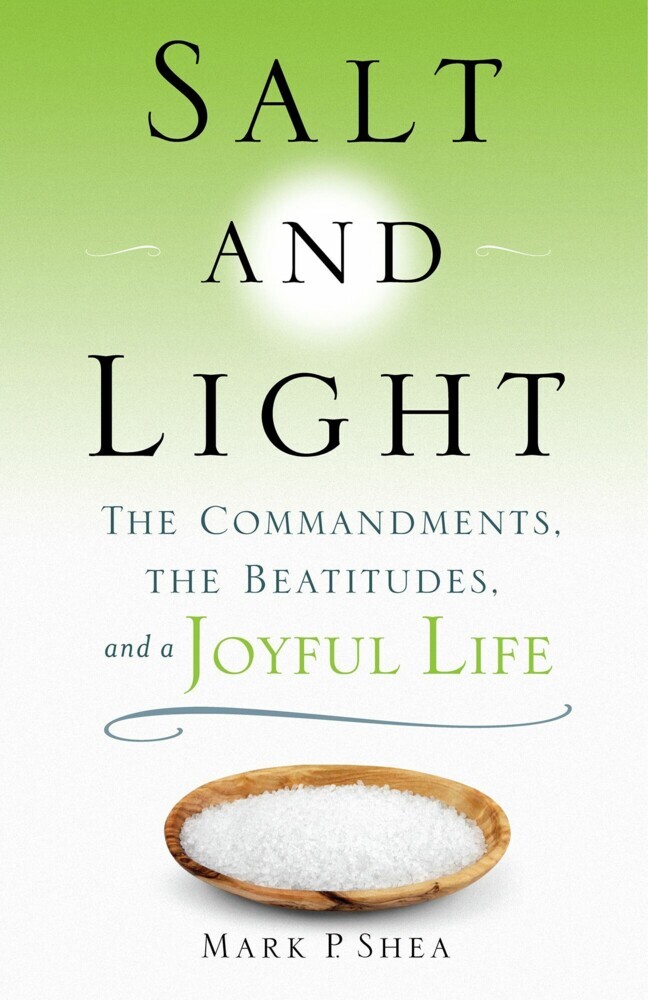Salt and Light main product photo