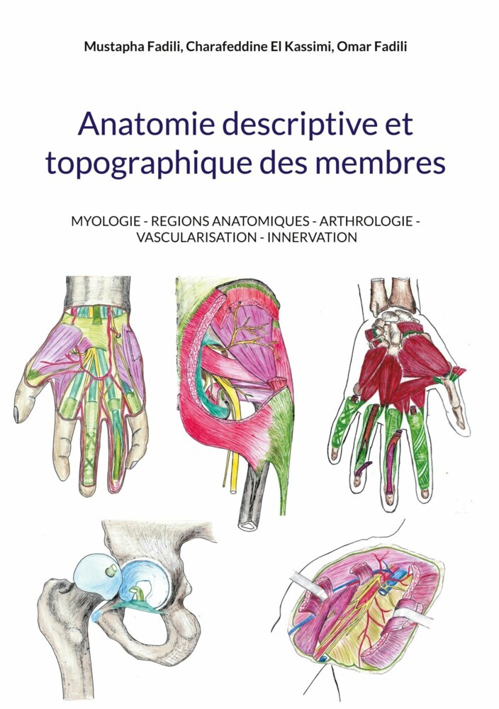 Anatomie descriptive et topographique des membres main product photo