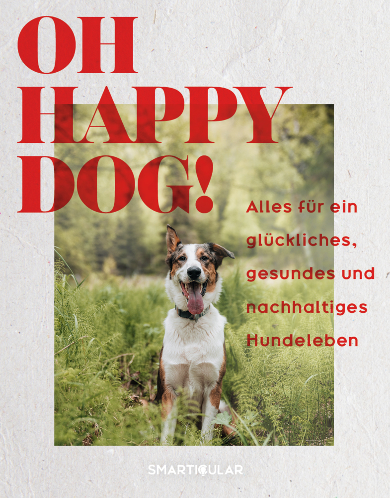 Oh Happy Dog! main product photo