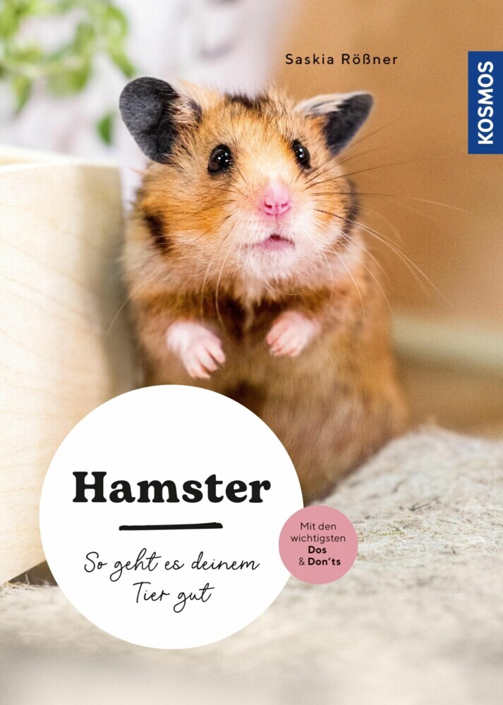 Hamster main product photo