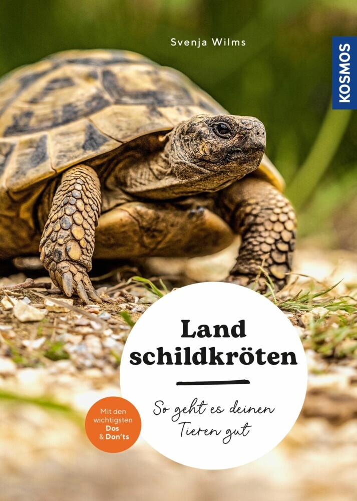 Landschildkröten main product photo