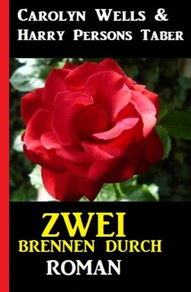 Zwei brennen durch: Roman