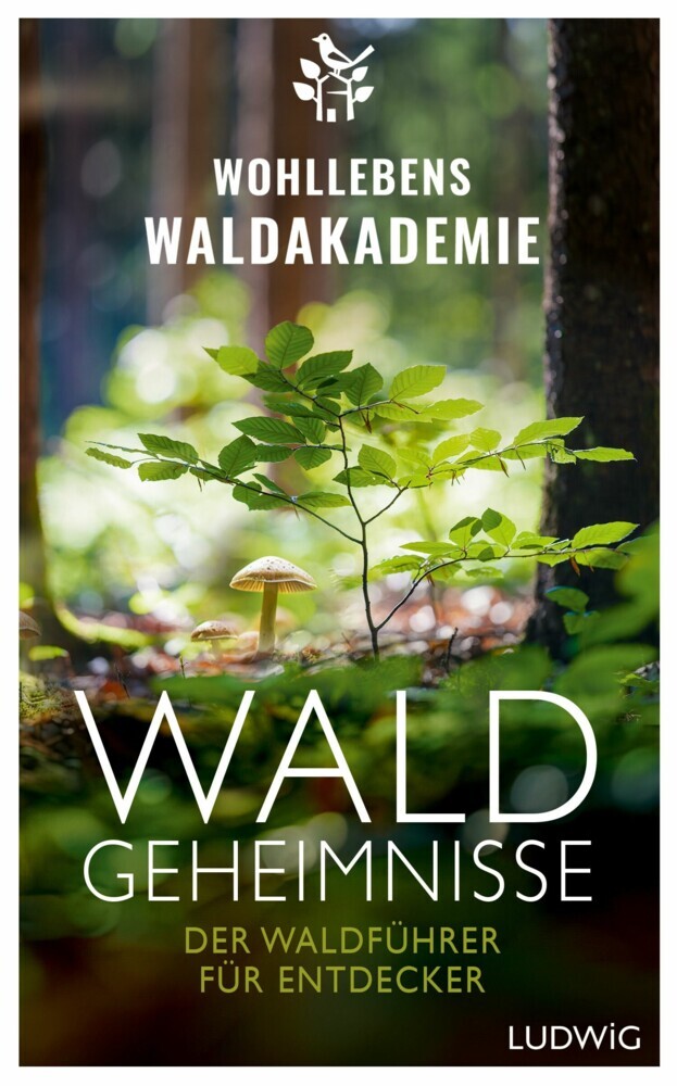 Waldgeheimnisse main product photo