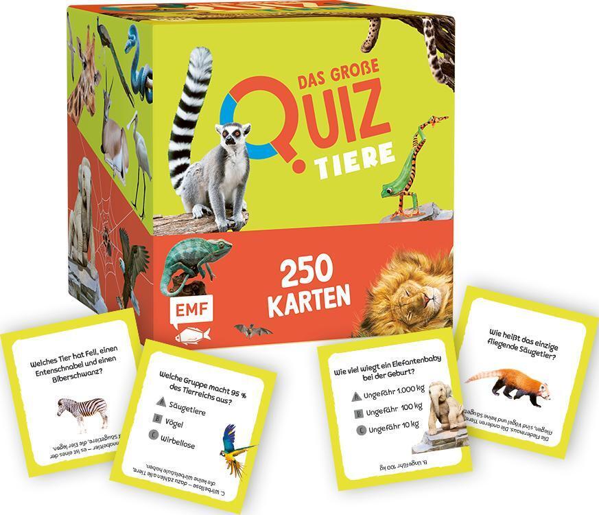 Kartenbox: Das große Quiz - Tiere main product photo