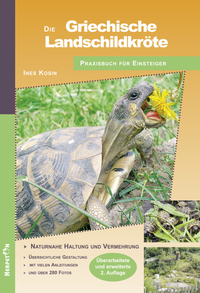 Die Griechische Landschildkröte main product photo