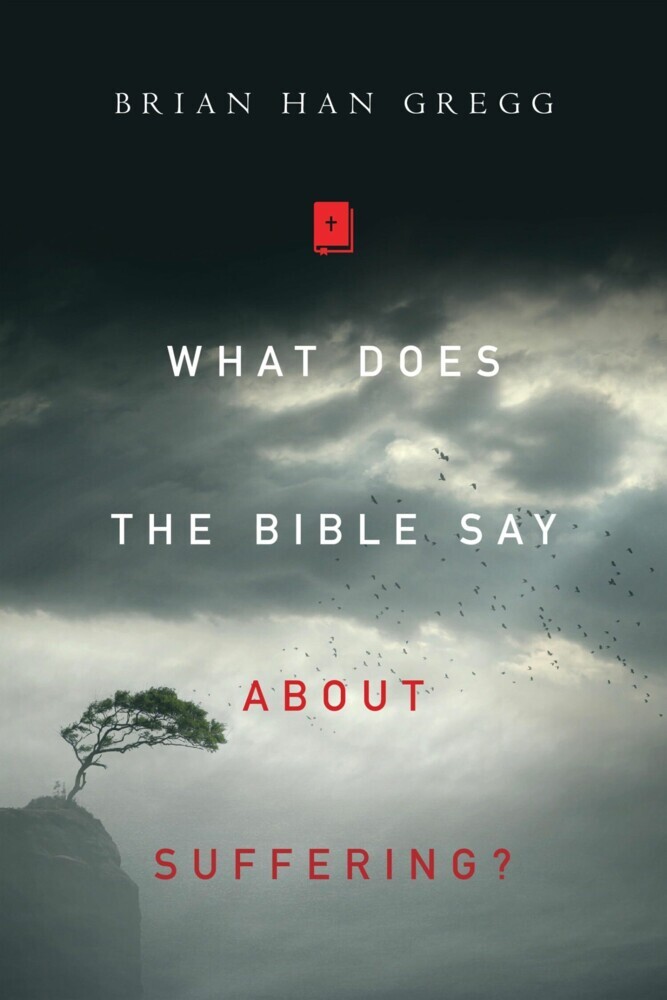 What Does the Bible Say About Suffering? main product photo