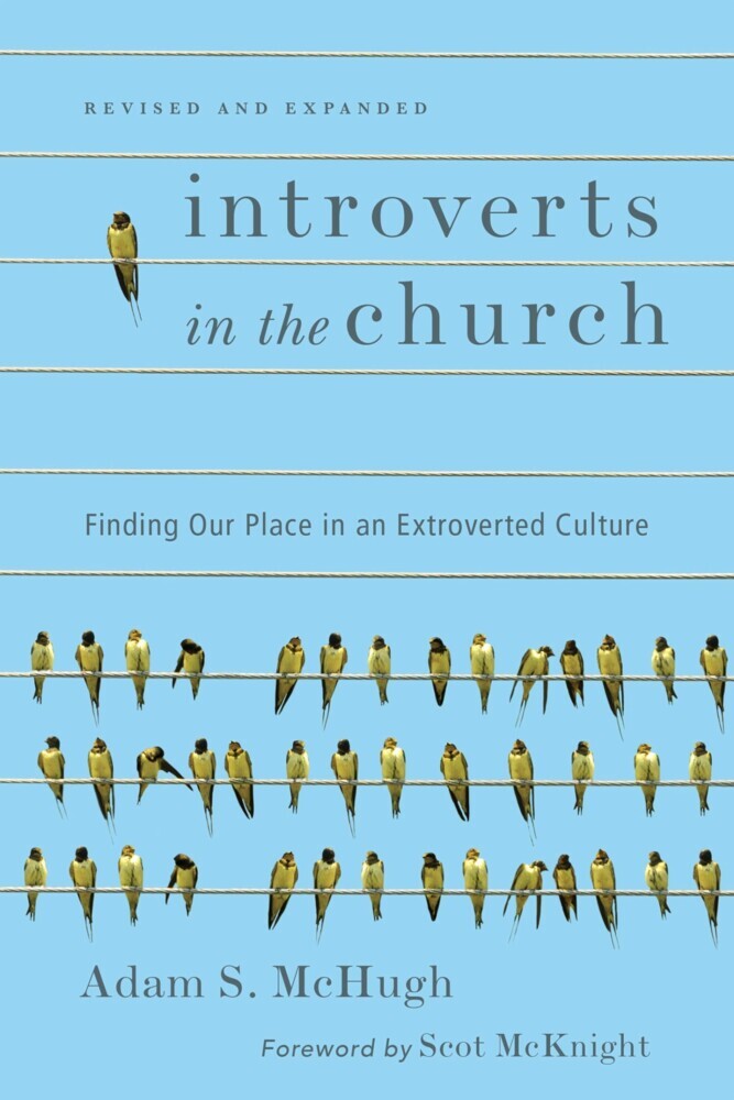 Introverts in the Church main product photo