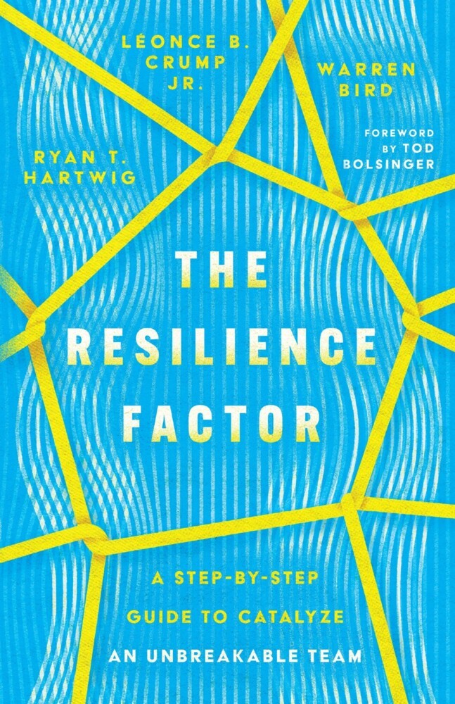 The Resilience Factor main product photo