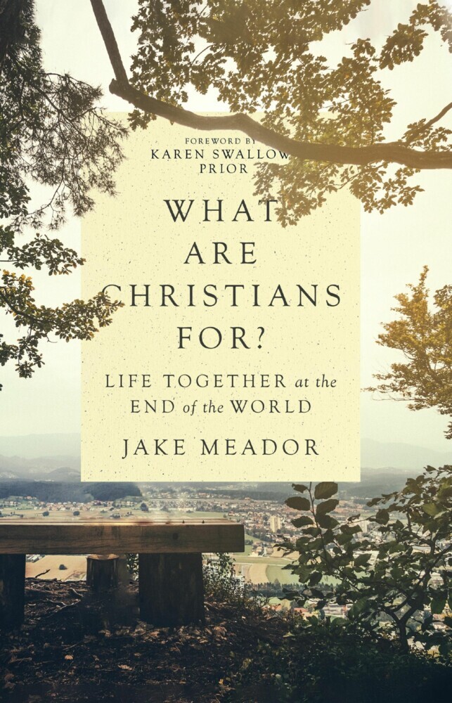 What Are Christians For? main product photo