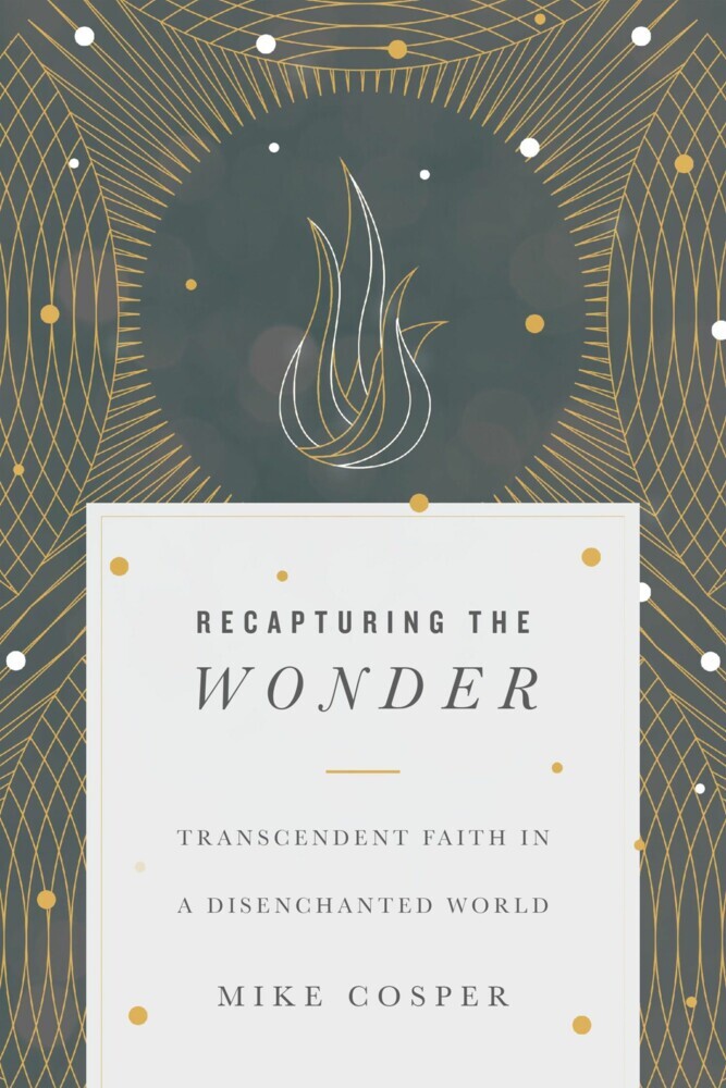 Recapturing the Wonder main product photo