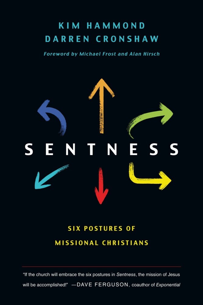 Sentness main product photo