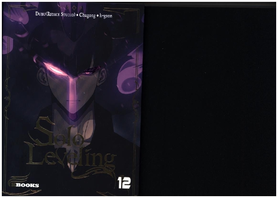 Solo Leveling 12 main product photo