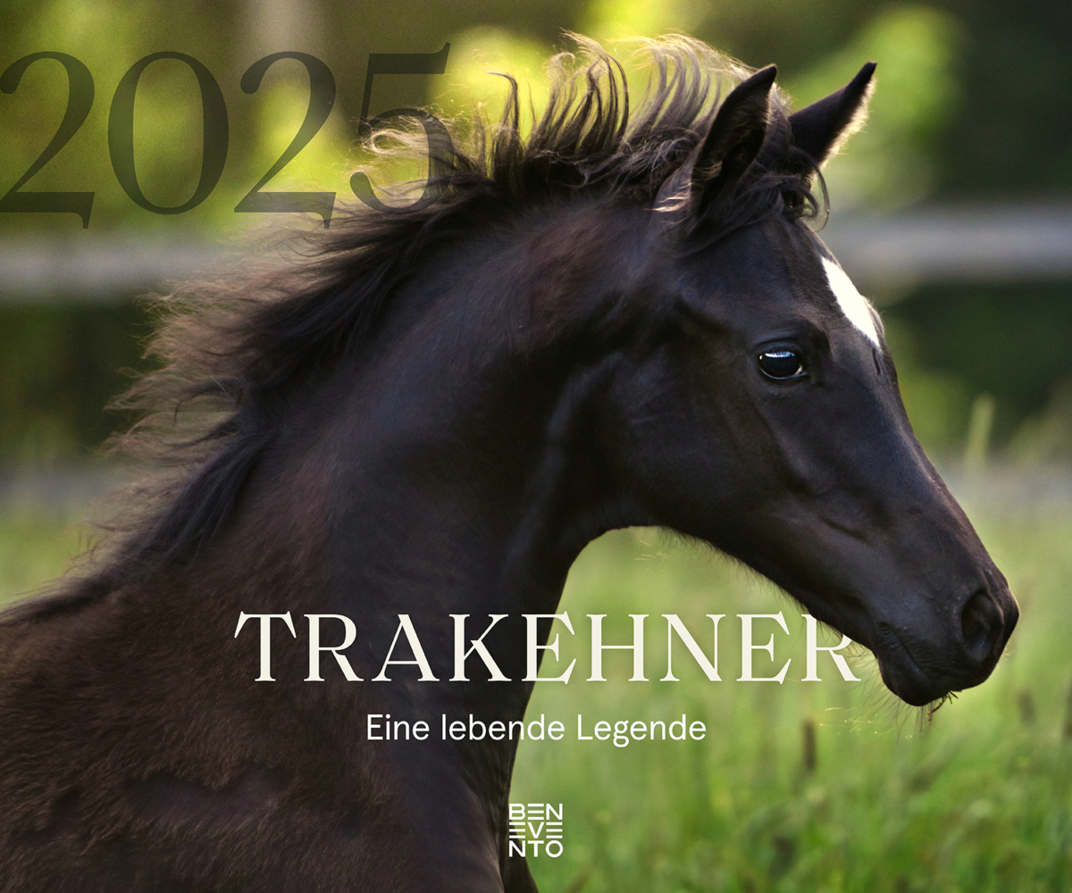 Trakehner 2025 main product photo