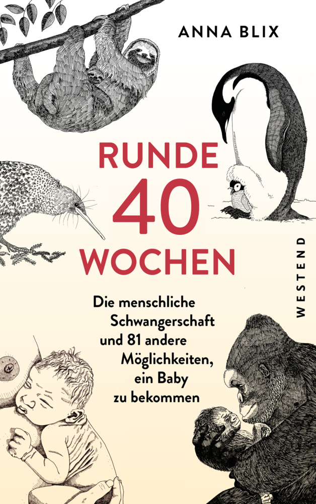 Runde 40 Wochen main product photo