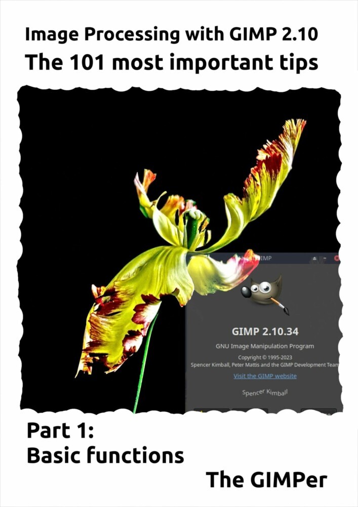 Image Processing with GIMP 2.10 main product photo