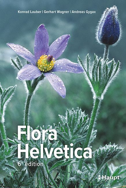 Flora Helvetica - Flore illustrée de Suisse main product photo