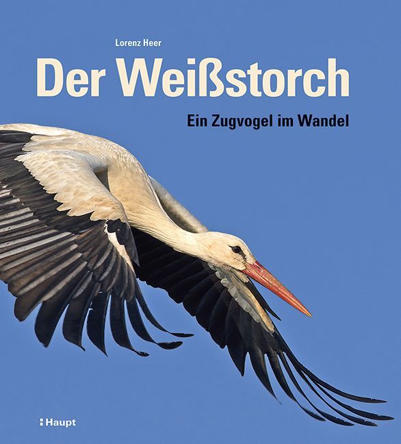 Der Weißstorch main product photo