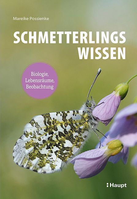 Schmetterlingswissen main product photo