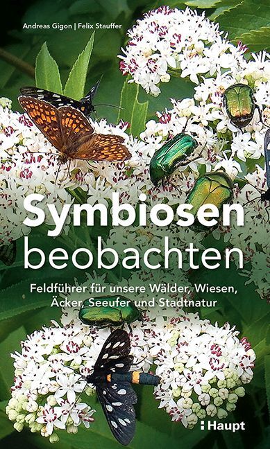 Symbiosen beobachten main product photo