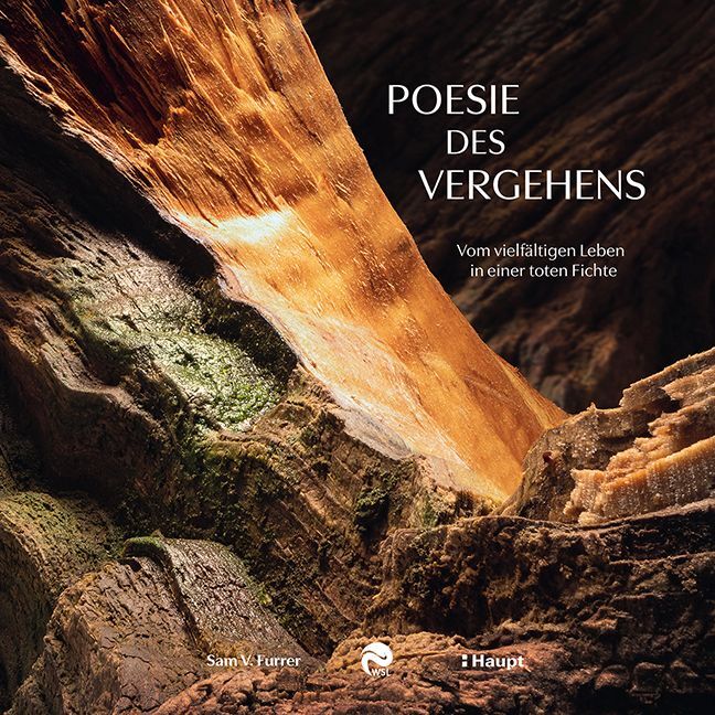 Poesie des Vergehens main product photo