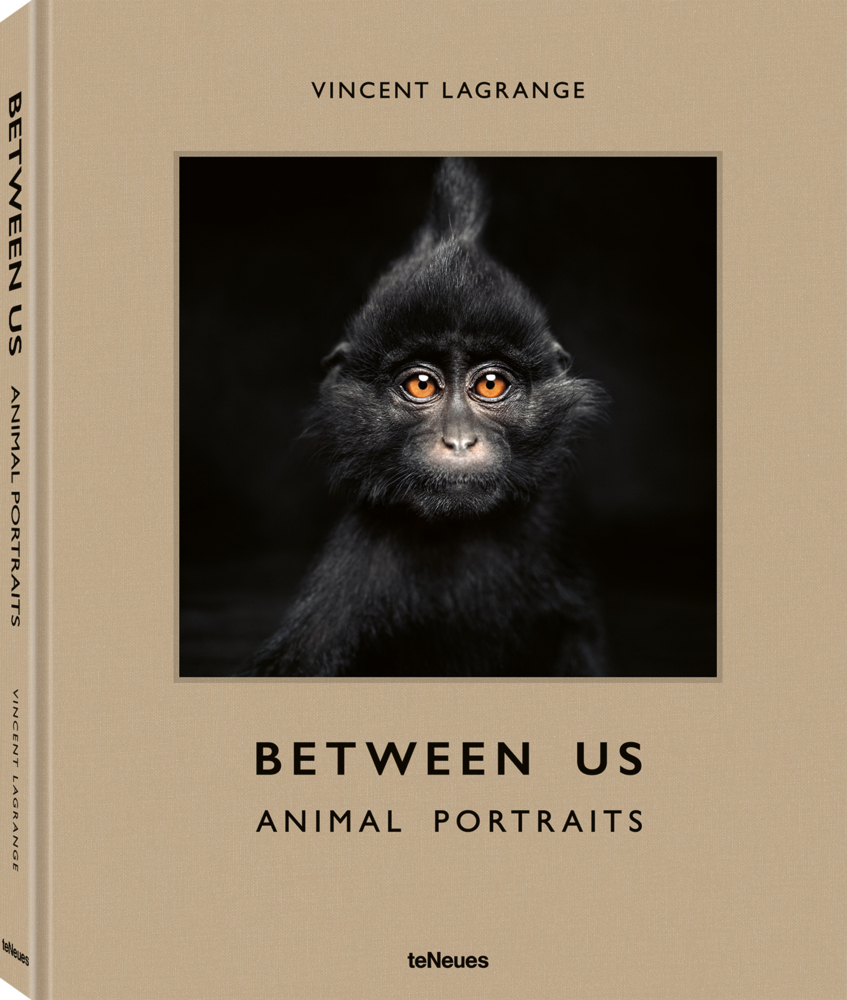 Between Us main product photo