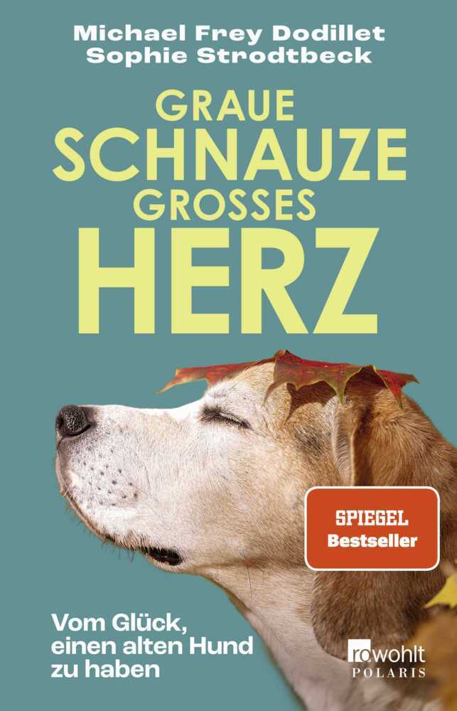 Graue Schnauze, großes Herz main product photo