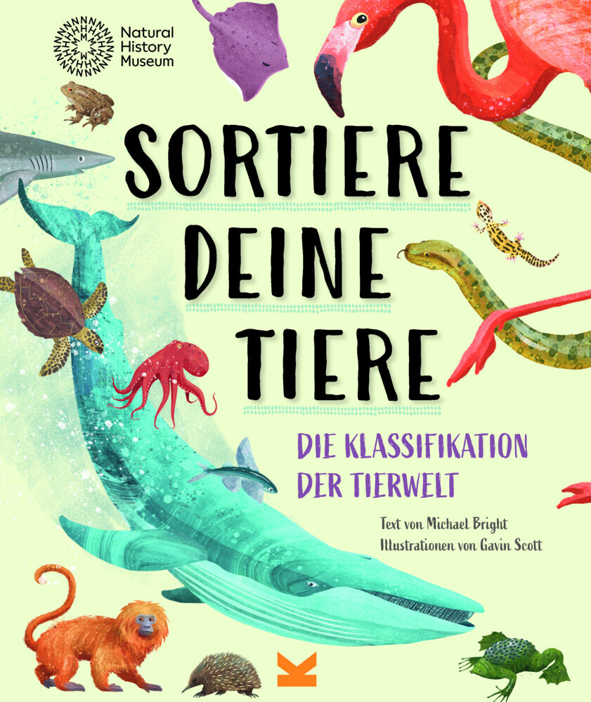 Sortiere deine Tiere main product photo