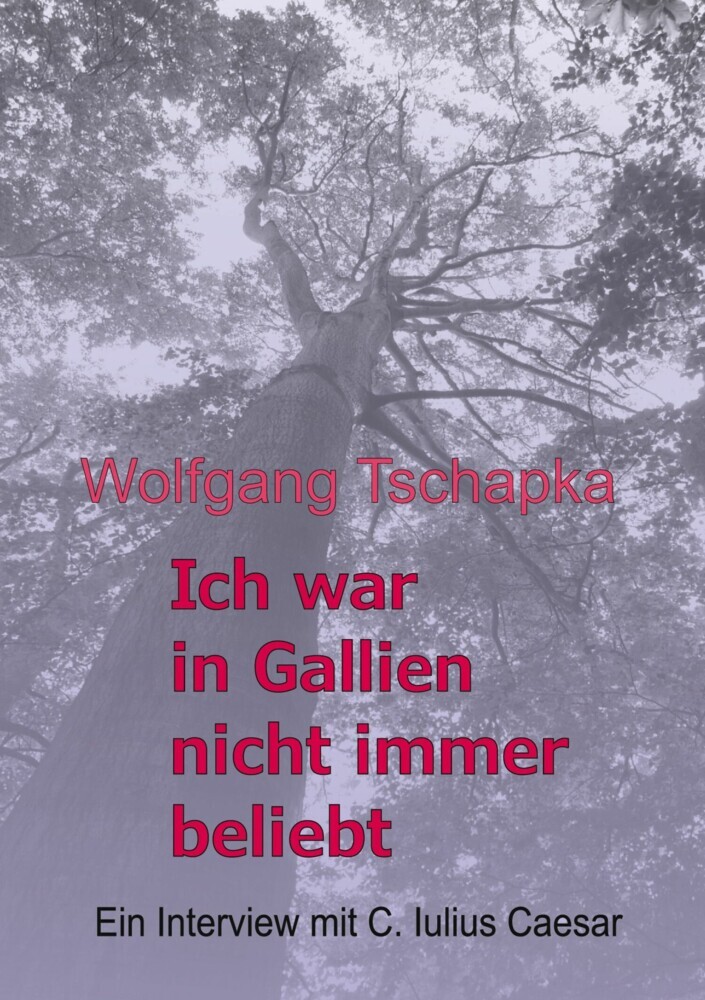 Ich war in Gallien nicht immer beliebt main product photo
