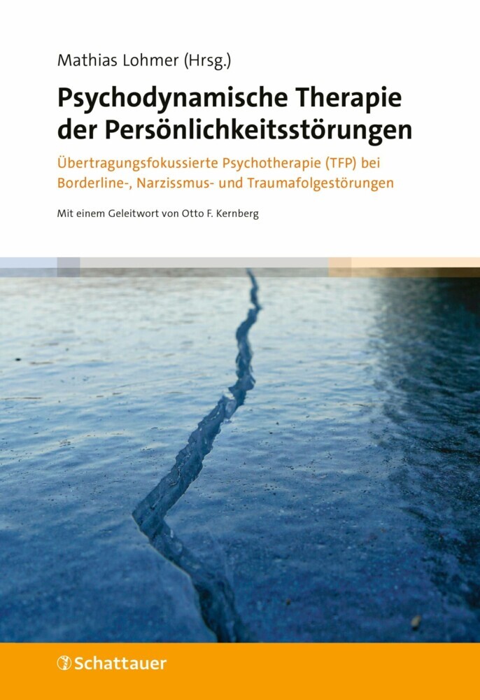 Psychodynamische Therapie der Persönlichkeitsstörungen main product photo