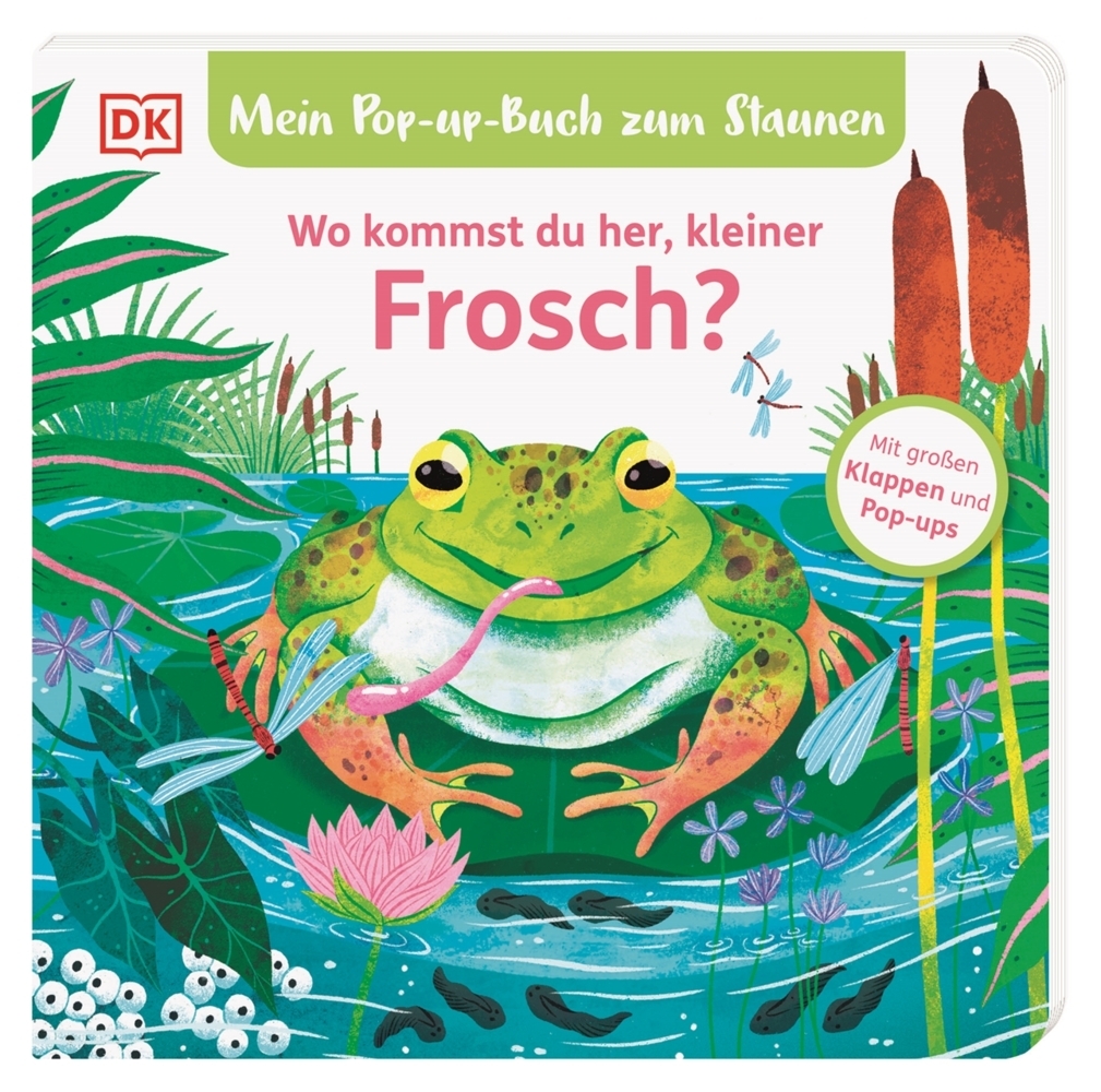 Mein Pop-up-Buch zum Staunen. Wo kommst du her, kleiner Frosch? main product photo