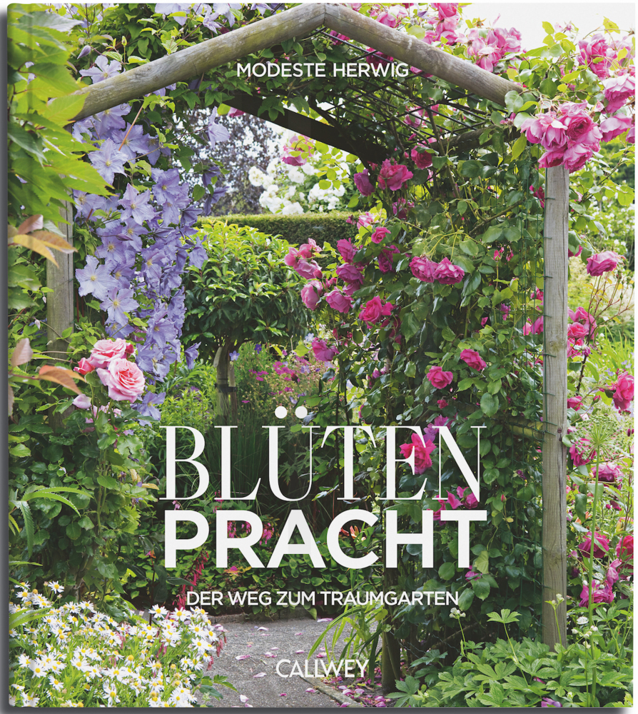 Blütenpracht main product photo