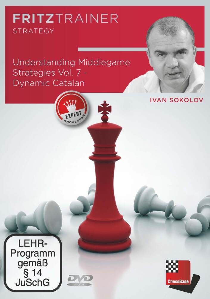 Understanding Middlegame Strategies Vol. 7, DVD-ROM main product photo