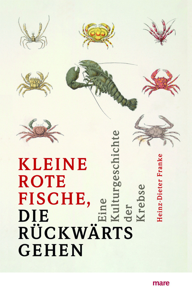 »Kleine rote Fische, die rückwärtsgehen« main product photo