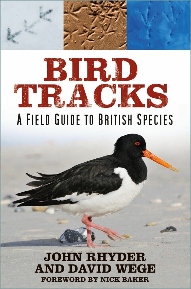 Bird Tracks main product photo
