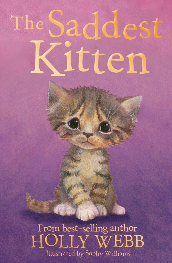 The Saddest Kitten main product photo
