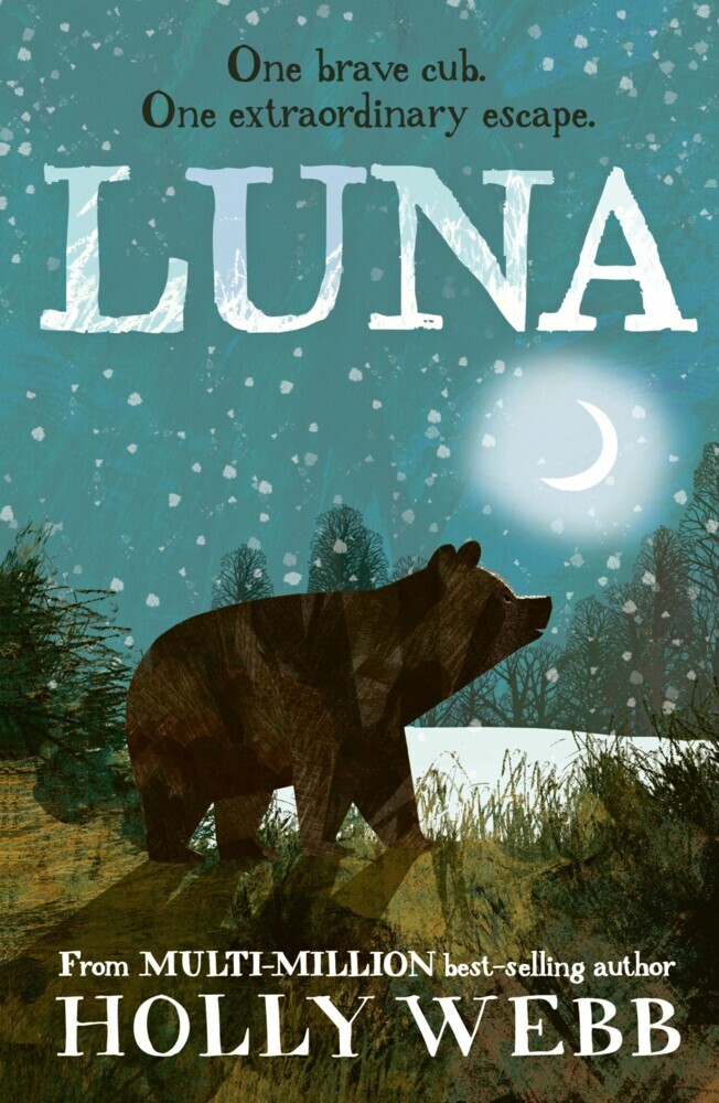 Luna main product photo