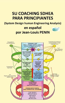 Su coaching SDHEA para principiantes