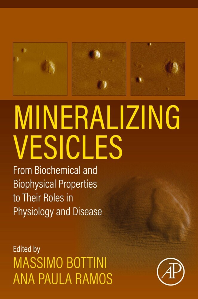Mineralizing Vesicles main product photo