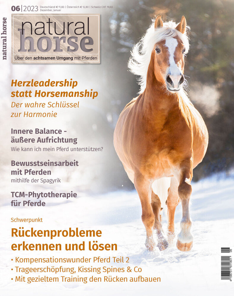 Natural Horse 48 main product photo