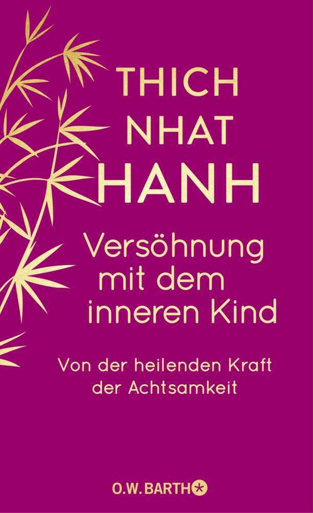 Versöhnung mit dem inneren Kind main product photo
