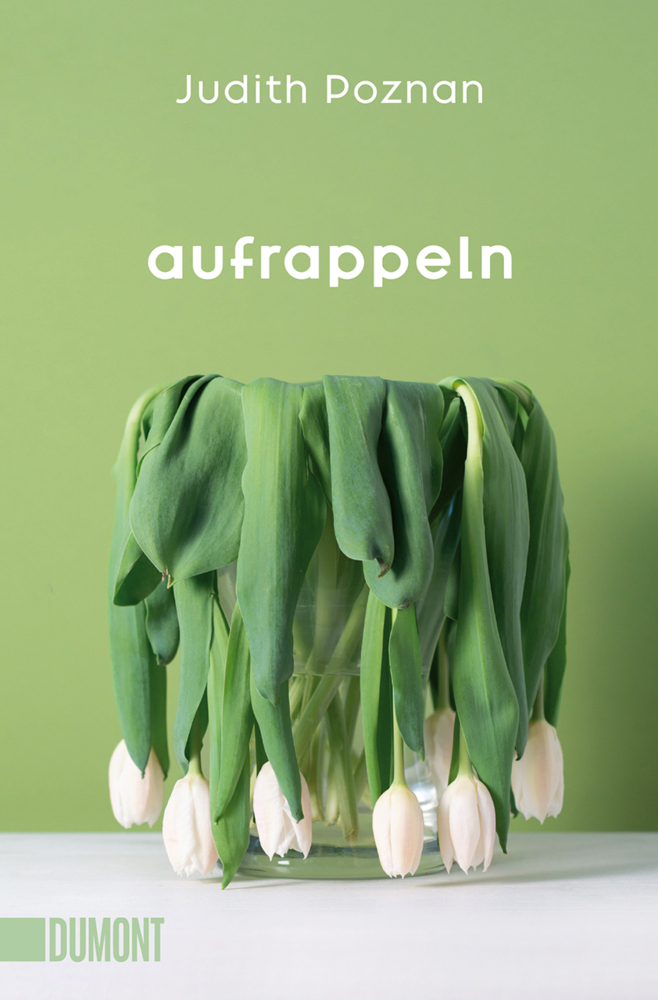 Aufrappeln main product photo